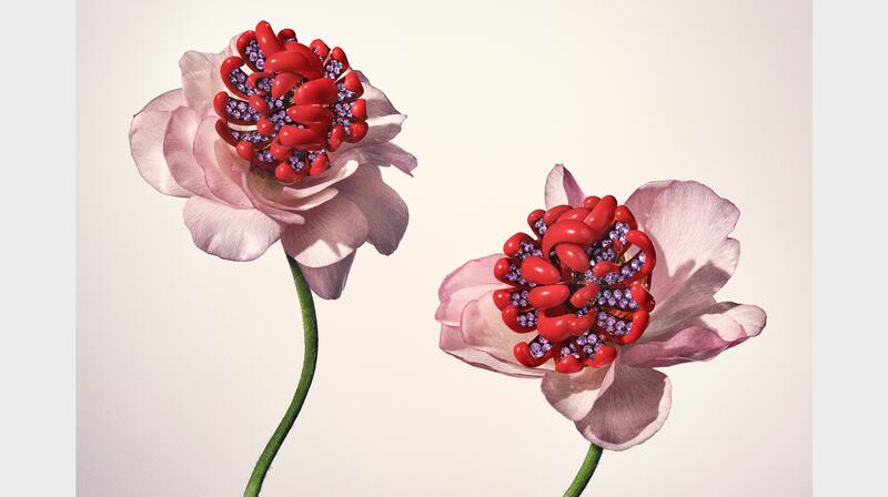 David Yurman 2023 Genesis high jewelry collection earrings