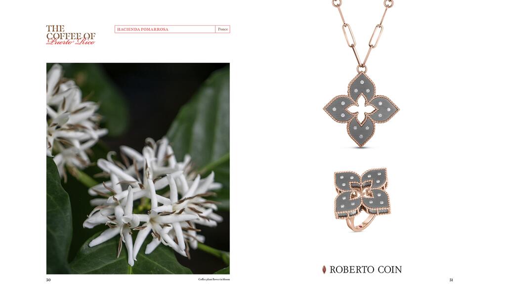 20221128_Roberto Coin spread.jpg