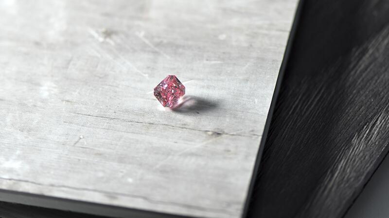 2-20221107_Argyle Thea.jpg